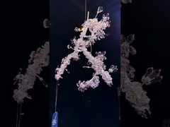 Crystal Chandelier