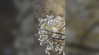Retro Glass Pendant Light Antique Brass Chandelier